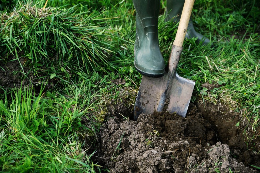 Digging a Well and Striking Gold.